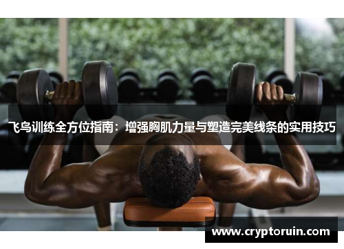 飞鸟训练全方位指南：增强胸肌力量与塑造完美线条的实用技巧
