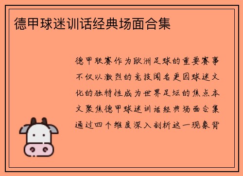 德甲球迷训话经典场面合集