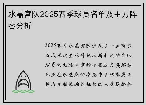 水晶宫队2025赛季球员名单及主力阵容分析